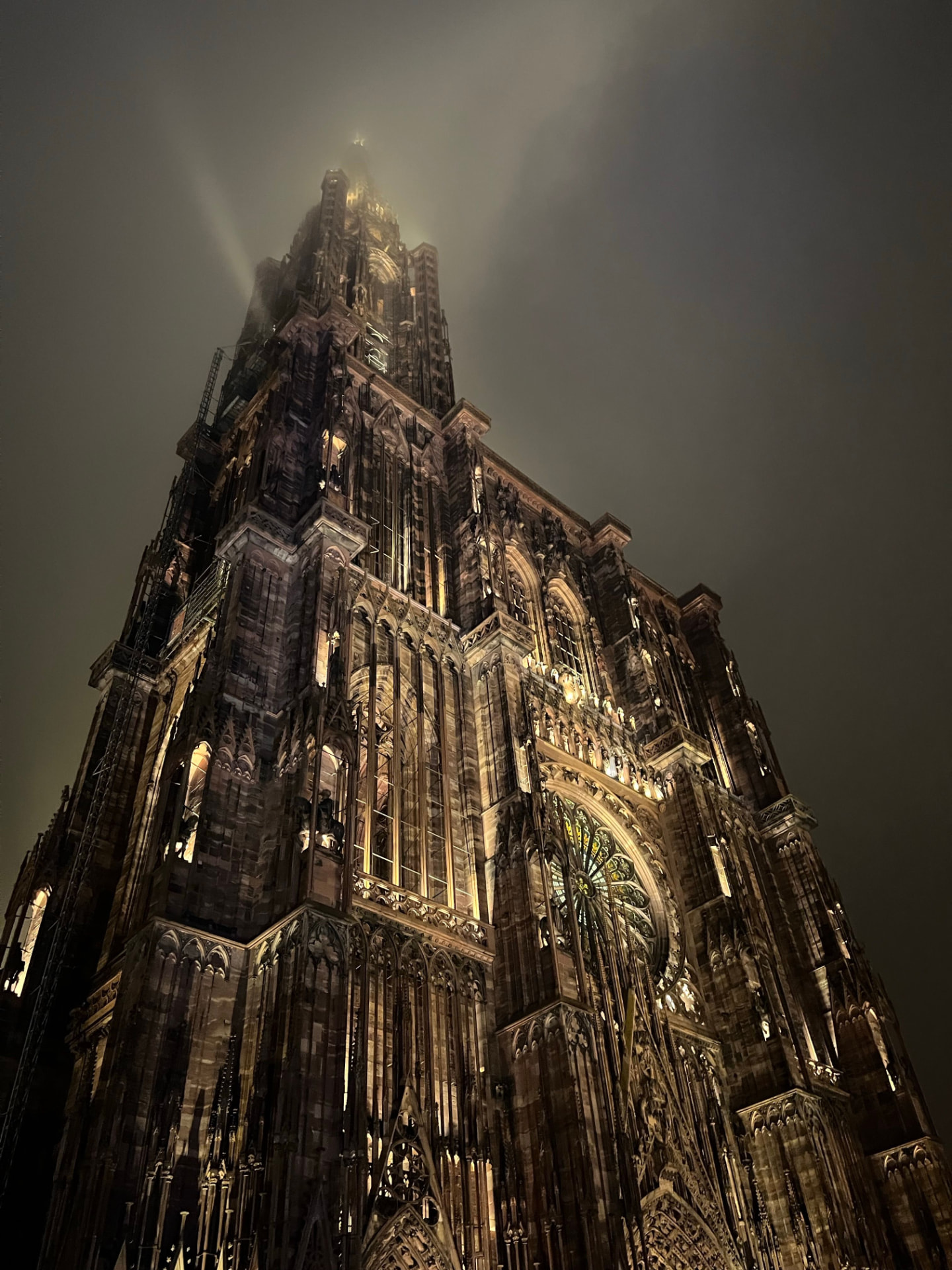 Die Fassade des Straßburger Münsters leuchtet durch den Weihnachtsnebel