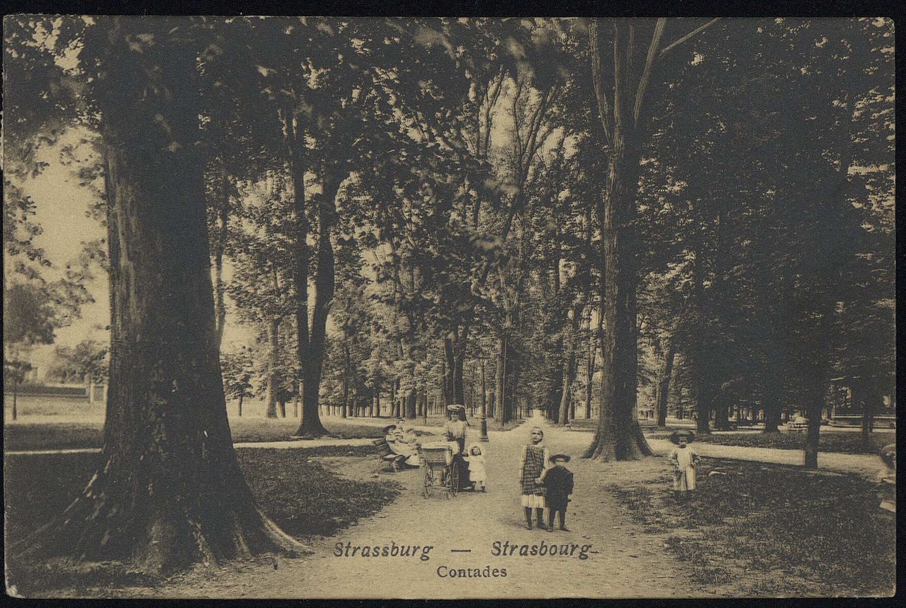 Die Alleen des Parc Contades, 1907
